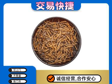 宿豫区回收散虫草